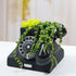 Yardwe 1pc Retro Telephone Shaped Animal Succulent Planter Pot, Modern Cute Vintage Flower Pot for Garden