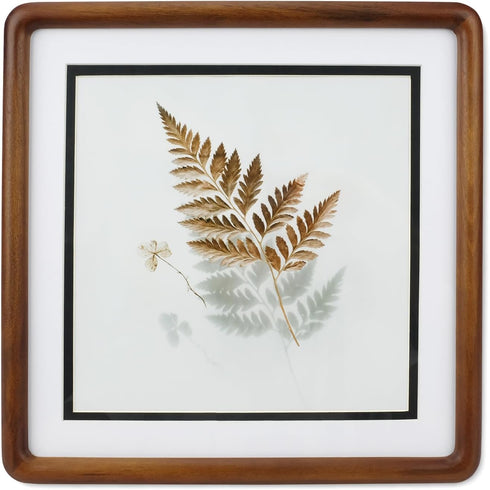 WILTYAPF 88 Walnut Solid Wood Small Picture Frames With HD Glass, Square Frame