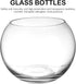 YARNOW Self Watering Round Glass Flower Pot, Wick Rope for House Plants, Hydroponics, and Semi-Hydroponics