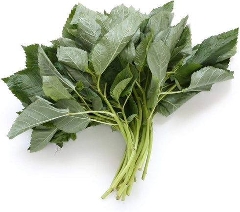 Corchorus olitorius Egyptian Spinach,1000 Jute Seeds,Saluyot, Molokhia, Plant Spring Or Summer