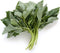 Corchorus olitorius Egyptian Spinach,1000 Jute Seeds,Saluyot, Molokhia, Plant Spring Or Summer