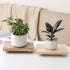 Wood Pedestal Stand Bathroom Counter Organizer, Farmhouse Decorative Tray Soap Holder for Kitchen Decor, Burlywood