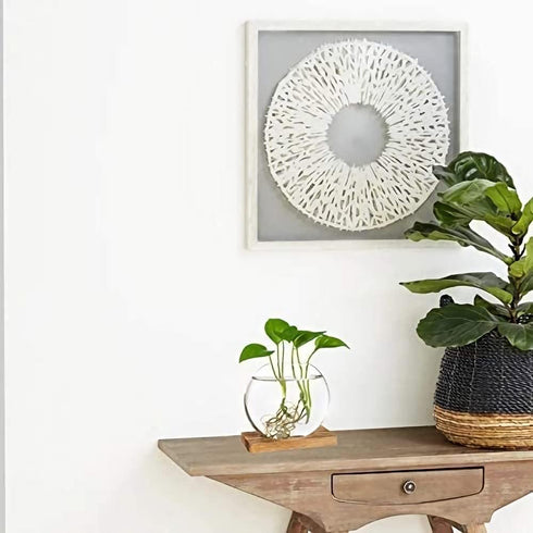 2-Pack, Kingbuy Round Glass Desktop Planter with Wooden Stand - Propagation Station for Small Hydroponic Plants, Spider
