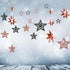 Decor365 Glitter Black Rose Gold Star Garland Twinkle Little Star Party Decoration Hanging Decor Backdrop Banner