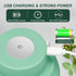Electric Garlic Chopper 250ML, Mini 2 in 1 Food Chopper with Egg Beater, USB Portable for Veggies and Garlic
