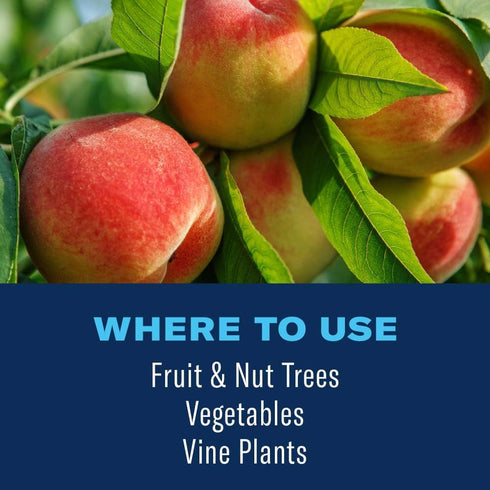 3-in-1 32 oz, BioAdvanced Fruit, Citrus & Nut Tree Spray Ready-to-Spray, Fruit Tree Spray