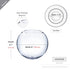 WGV Bowl Glass Vase, Diameter 8", Height 6.5", Open Width 3.75", (Multiple Sizes Choices) Clear Bubble Planter Terrarium Fish Bowl for Wedding Event Home Decor, 1 Piece (VBW0008) by WGVI