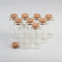 30x60x17mm Glass Bottles with Cork for Wedding Holiday Decoration, 12pcs (25ml)