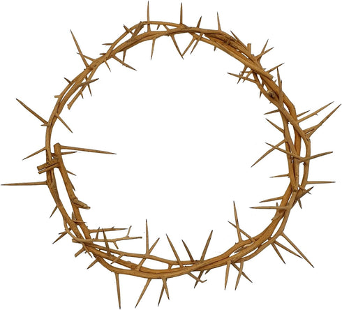 ZULUF Crown of Thorns Ornament, 7.5" from Bethlehem Jerusalem, Gift Boxed