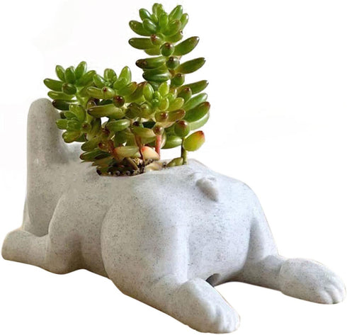 White Resin Dog Succulent Planter, Cute French Bulldog Shape Mini Puppy Air Plant Planter for Home Garden Decor
