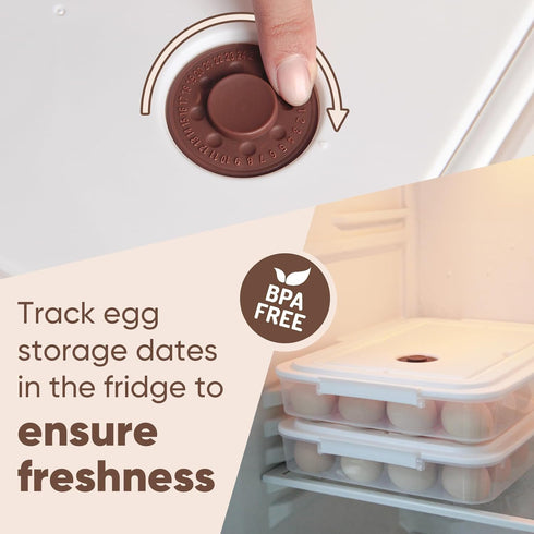 77L (Set 2), 48 Deviled Egg Containers with Lid, of Plastic Deviled Egg Carrier with Handle for Eggs, Clear Storage