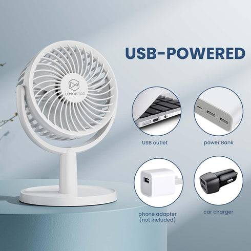 4 Inch Strong Desk Fan, 4 Speeds, Quiet, 310 Rotation, Detachable, Lightweight, Easy to Clean, Mini USB Fan for Home,