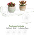 2 Pack 9 Inch Window Plant Shelves, Acrylic Suction Cup Shelf, Window Sill Extender for Indoor Succulents, Herb