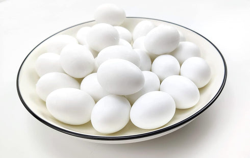Azatemgo 10 Pieces Pigeon Eggs Solid Plastic Eggs for Hatching Help Limit Births Laying Pigeon Agricultural Tool