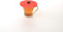 Charles Viancin Poppy Drink Cover Set of 2