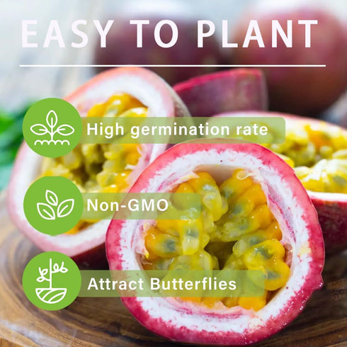 15+ Country Tropical Passion Fruit Seeds for Planting Outdoors-Non GMO Passiflora for Bonsai Backyard