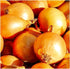 Instant Latch 250 Utah Yellow Sweet Spanish Onion Seeds for Planting Non GMO Heirloom