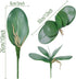 FagusHome 6 PCS Green Artificial Phalaenopsis Orchids Leaves, Faux Orchids Leaf 11 Inches