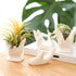 ourhommie Air Plant Holder Cute Ceramic Mini Hand Shape Stand Airplants Tillandsia Small Container Pot Plant Decorative