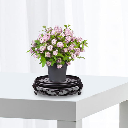5.3in Counter Hapivida Plant Stand, Round Plant Riser Decorative Display Flower Holder Vase Rack Holder Planter Tray