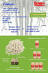 Gmark Bamboo Mini Forks 3.5 Inch, 330pc Bamboo Fruit Picks & Cocktail Forks for Appetizer, Dessert