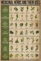 Funny Metal Signs Decor - Antique Medicinal Herbs and Their Uses Knowledge Tin Sign