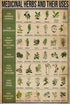 Funny Metal Signs Decor - Antique Medicinal Herbs and Their Uses Knowledge Tin Sign