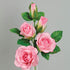 Flower Pro Five Petal Rose Cutters Set of 3 for Cake Decorating - by Katy Sue Green