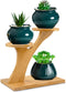 XXXFLOWER 3 Tiers Bamboo Plant Stand, Indoor Succulent Windowsill Shelf - Small Tabletop Plant Holder for Home