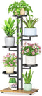 LASZOLA Black 5 Tiered Plant Stand Indoors Heavy Duty Metal Rack, Sturdy