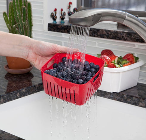 3-in-1 2 Hutzler Berry Keeper Colander and Container, Keeps Berries Fresh Longer, Pints, Apricot
