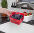 3-in-1 2 Hutzler Berry Keeper Colander and Container, Keeps Berries Fresh Longer, Pints, Apricot