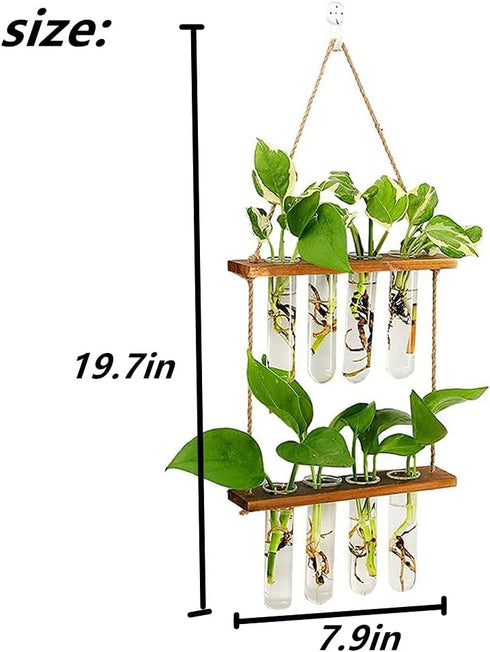 ORANGE NEI 2 Hiuxume Tiered Wall Hanging Planter, Wooden Stand with Glass Planter Test Tube Vase for Hydroponic Plant