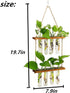 ORANGE NEI 2 Hiuxume Tiered Wall Hanging Planter, Wooden Stand with Glass Planter Test Tube Vase for Hydroponic Plant