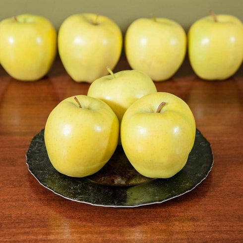 1 Perfect Plants Golden Delicious Apple Tree Gallon | Live Fruit Trees for Outdoor Planting | Self Fertile & Easy