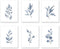 XUOIAYNB Watercolor Minimalist Leaves Wall Art Print - Modern Botanical Plant Canvas Print Set of 6, Unframed, 8X10