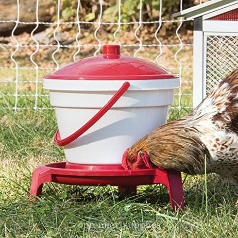 1 3 Premier Quick Clean Poultry Waterer for Chickens & Poultry - Gallon