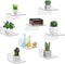 8 Pack Small Wall Shelf, 4'' Acrylic Shelves Display Ledges for Storage
