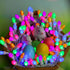 2 PACK 13.5 50 Easter String Lights, Multi Color Pastel Christmas Lights with White Wire, FT LED Waterproof Plug