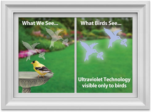 WindowAlert Hummingbird Anti-Collision Decal - UV-Reflective Window Decal 2-Pack to Protect Wild Birds