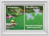 WindowAlert Hummingbird Anti-Collision Decal - UV-Reflective Window Decal 2-Pack to Protect Wild Birds