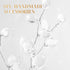 Kisangel White Artificial Flowers, 50Pcs Stem with Crystal Acrylic Bead Drop for Wedding Party Decoration