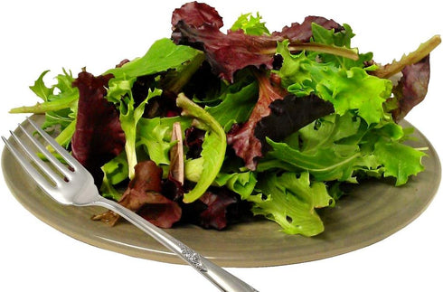 Harley Seeds 1000 20 Packaged Lettuce Mix Seeds Please Read This is A Mix Varieties Heirloom Non-GMO. Seeds are not