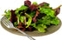 Harley Seeds 1000 20 Packaged Lettuce Mix Seeds Please Read This is A Mix Varieties Heirloom Non-GMO. Seeds are not