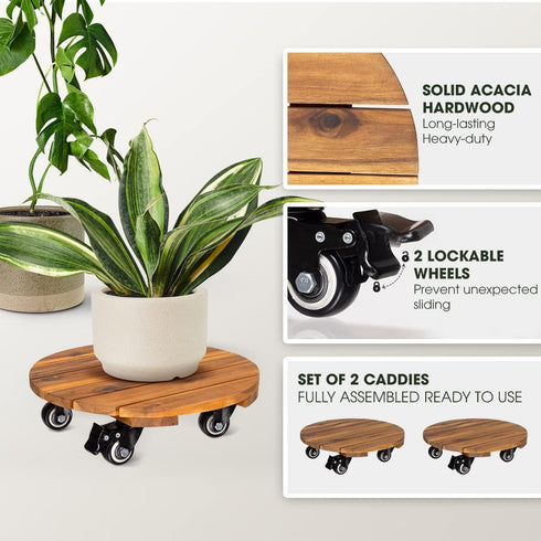 2pack 12inches 264 Lbs 360 Idzo Wood Plant Caddy with Wheels Heavy Duty, Capacity, Acacia Hardwood Plant Dolly, Plant