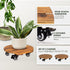 2pack 12inches 264 Lbs 360 Idzo Wood Plant Caddy with Wheels Heavy Duty, Capacity, Acacia Hardwood Plant Dolly, Plant