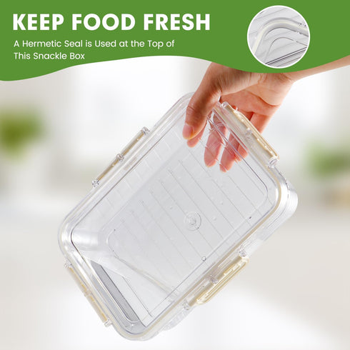 Divided Serving Tray with Lid and Handle, Snackle Box Container with 4 Compartments, Clear Serving Platters and Trays,
