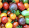 Rainbow Cherry Tomato Seeds - 20 Seeds - Stunning Colors and Delicious