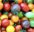 Rainbow Cherry Tomato Seeds - 20 Seeds - Stunning Colors and Delicious