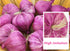 Zzooi 10PCS Artificial Lifelike Fake Garlic Faux Garlic White and Red Totall